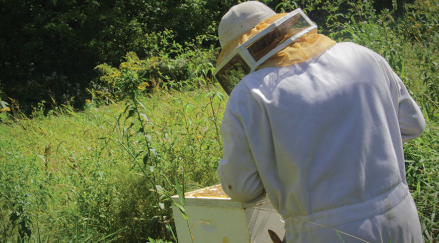 Local Wildflower Honey